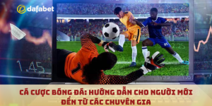 Cá cược bóng đá: Hướng dẫn cho người mới đến từ các chuyên gia