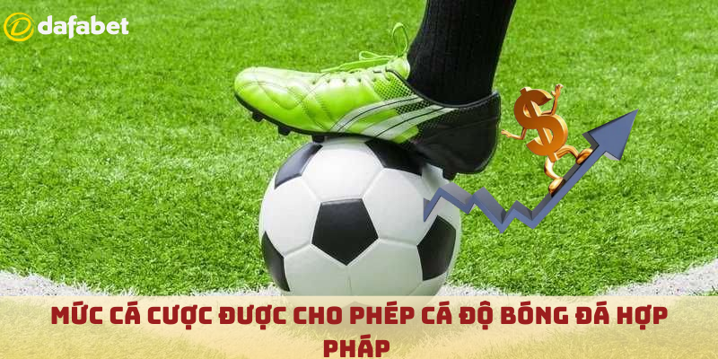 Mức cá cược được cho phép cá độ bóng đá hợp pháp