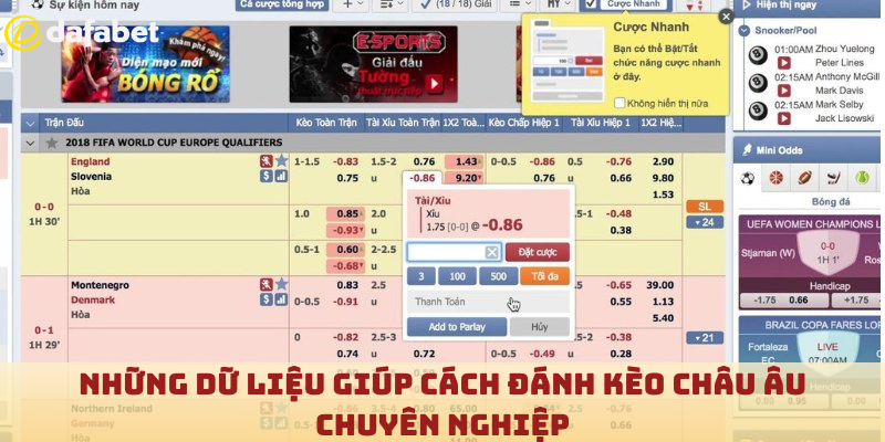 Những dữ liệu giúp cách đánh kèo Châu Âu chuyên nghiệp